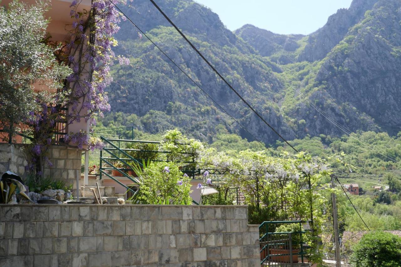 Ecohouse Risan Studio 외부 사진